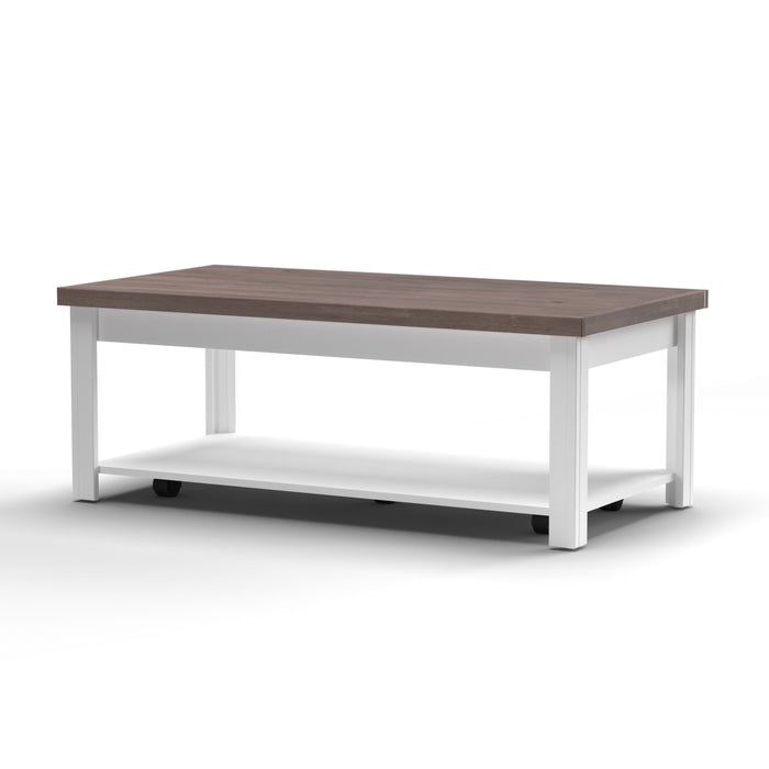 Bridgevine Home - Hampton 48" Hampton Coffee Table - Jasmine Whitewash and Barnwood Finish