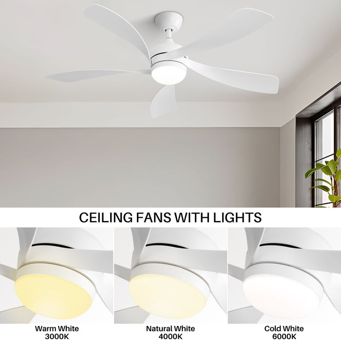 Modern Ceiling Fan With 3 Color Dimmable Light 5 ABS Blades Smart Remote Control Reversible Dc Motor