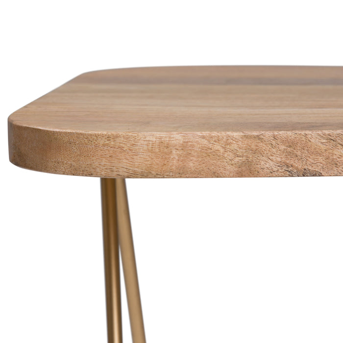 Patrice - Metal and Wood Accent Table