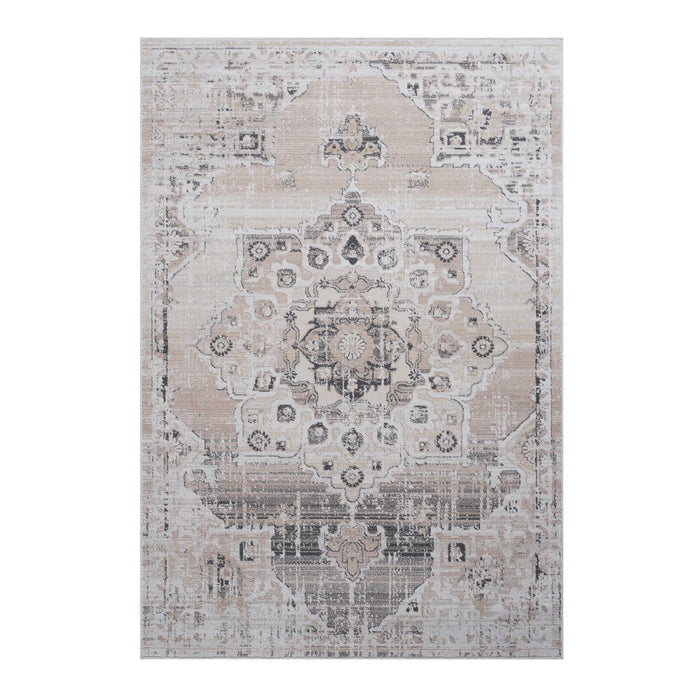 Medallion Non-Shedding Living Room Bedroom Dining Home Office Stylish And Stain Resistant Area Rug