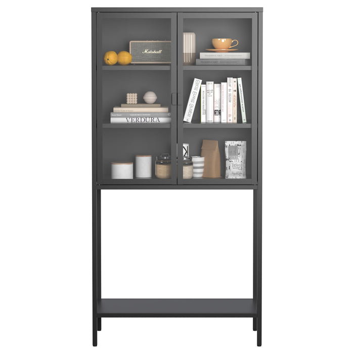 Heavy Duty Metal Storage Cabinet, Display Storage Cabinet With Glass Doors And 2 Adjustable Shelves, Tall Bookcase Modern Bookshelf Cabinet For Home Office, Living Room, Pantry